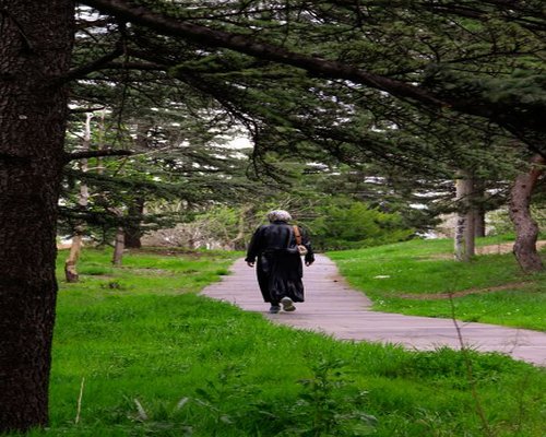 calm walk through a Chilean city park